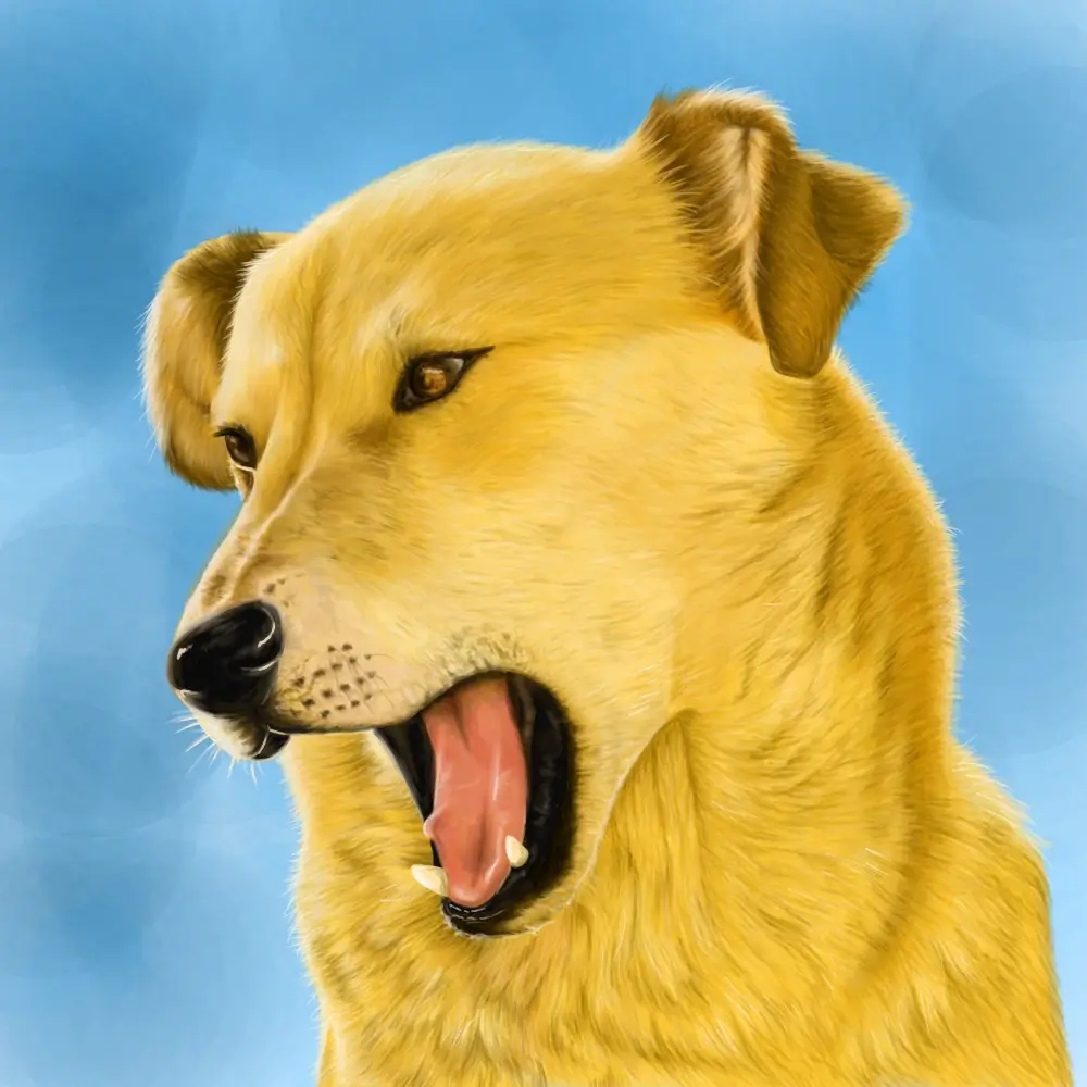 A yellow dog barking